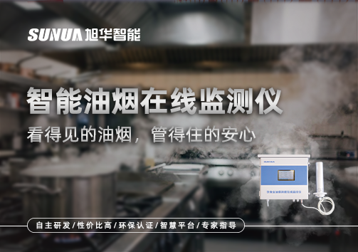 智能油烟在线监测仪：看得见的油烟，管得住的安心